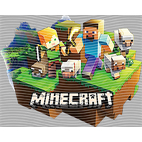 Minecraft-MN 35